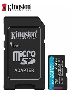 SDCS3/256GB