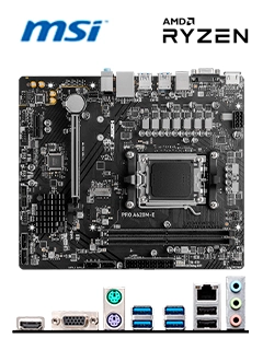 PRO A620M-E