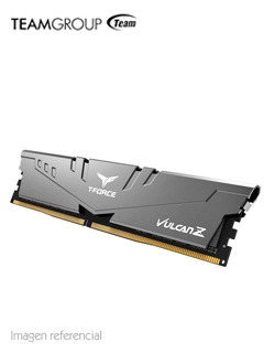 TLZGD48G3200HC16F01