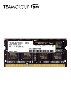 TED3L8G1600C11-S01