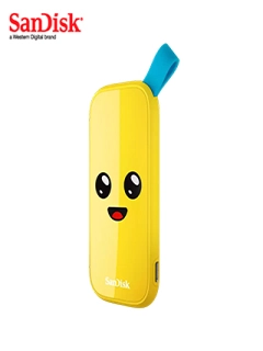 SDSSDE30-2T00-G25F