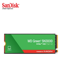 WDS100T4G0E