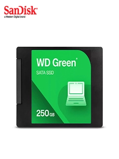 WDS250G5G0A